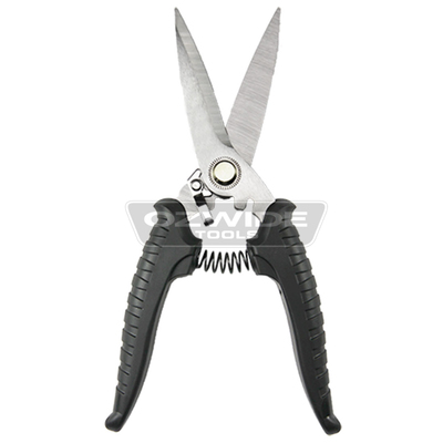 Stainless Steel Scissors