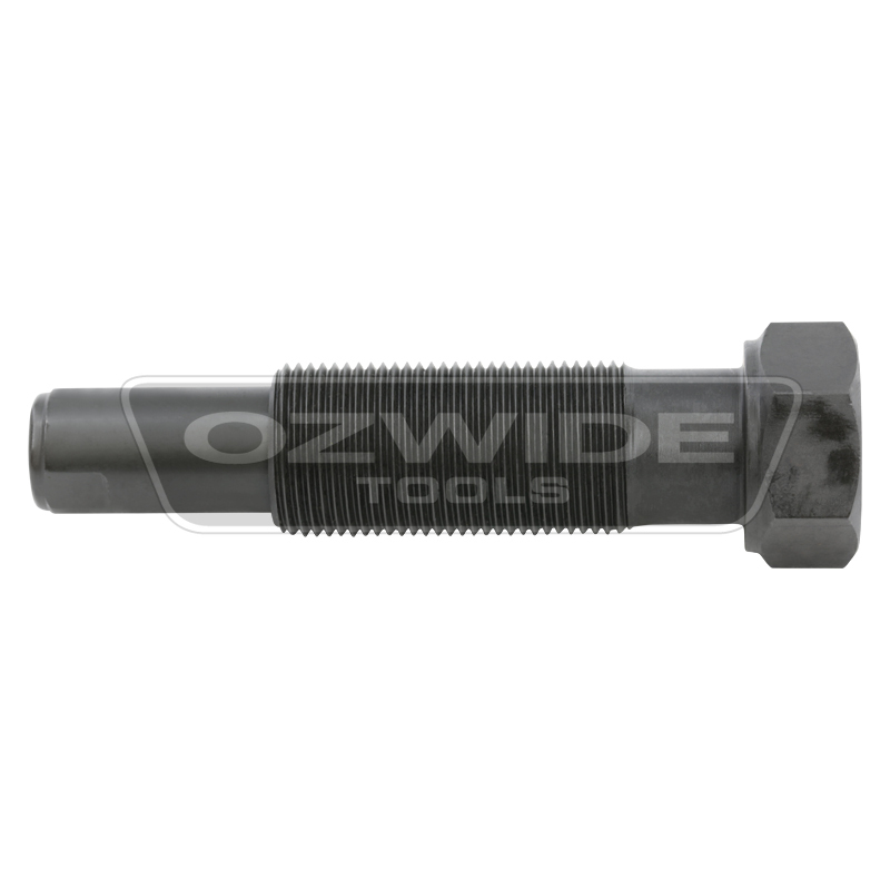 BMW N20 N26 N43 Timing Chain Tensioner Tool