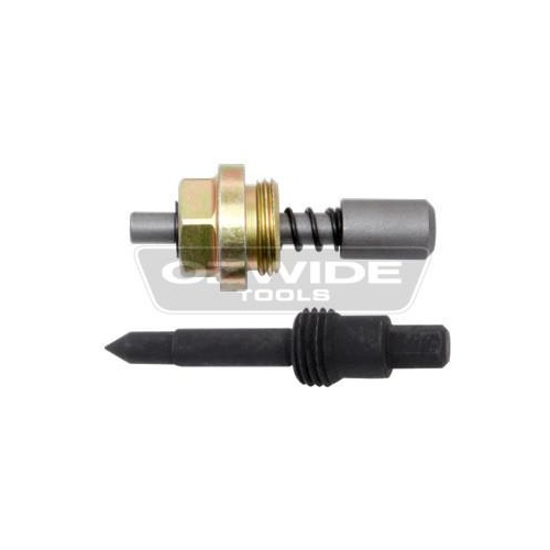 Mercedes Benz Injector Pump Locking Screw Set (2 pieces) - M601 / M602 / M603 / M604 / M605 / M606 